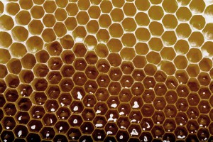 Honey