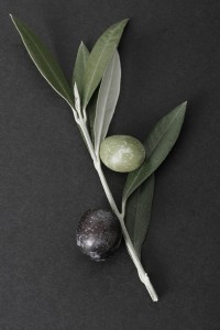 Organic olive oil