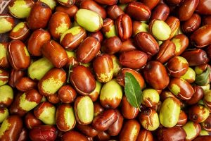 jojoba oil aeolis